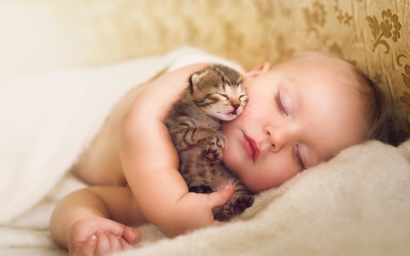 A post of unthinkable cuteness of cubs - human and not only!