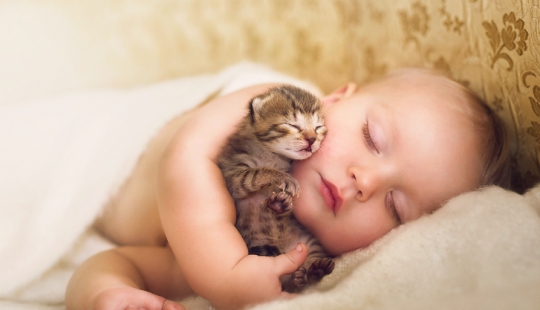 A post of unthinkable cuteness of cubs - human and not only!