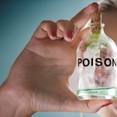 A Russian woman tried to kill a Ukrainian woman with a cheesecake to "steal" her identity