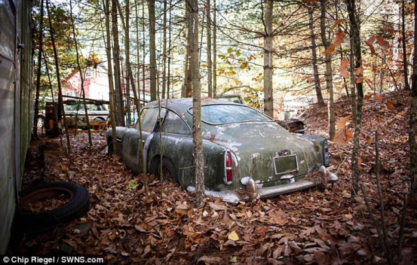 A rusty Aston Martin that has been standing in the forest for 40 years is being sold for 400 thousand dollars A rusty Aston Martin that has been standing in the forest for 40 years is being sold for 400 thousand dollars