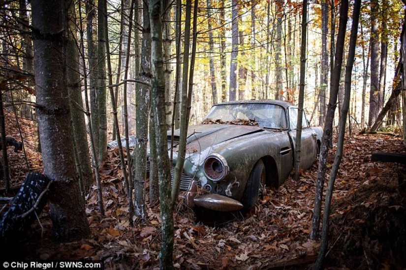 A rusty Aston Martin that has been standing in the forest for 40 years is being sold for 400 thousand dollars A rusty Aston Martin that has been standing in the forest for 40 years is being sold for 400 thousand dollars