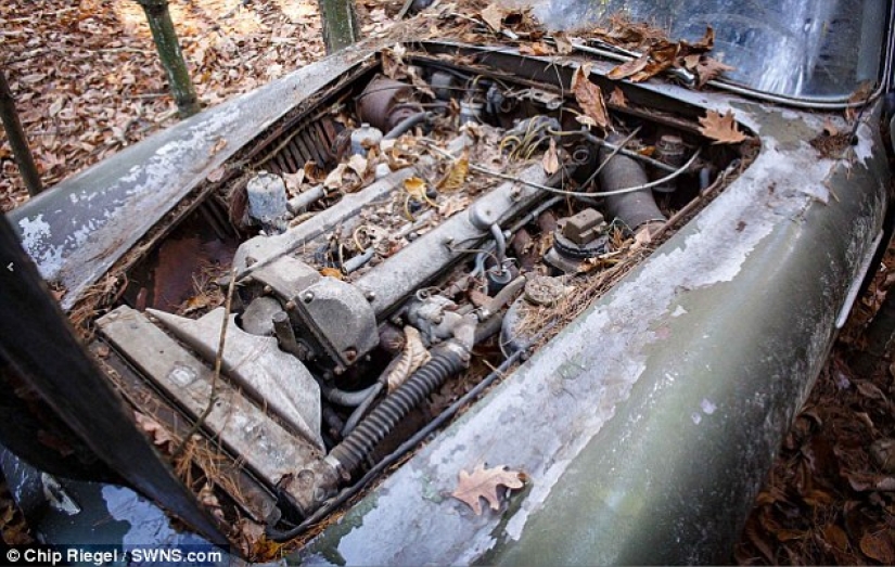 A rusty Aston Martin that has been standing in the forest for 40 years is being sold for 400 thousand dollars A rusty Aston Martin that has been standing in the forest for 40 years is being sold for 400 thousand dollars