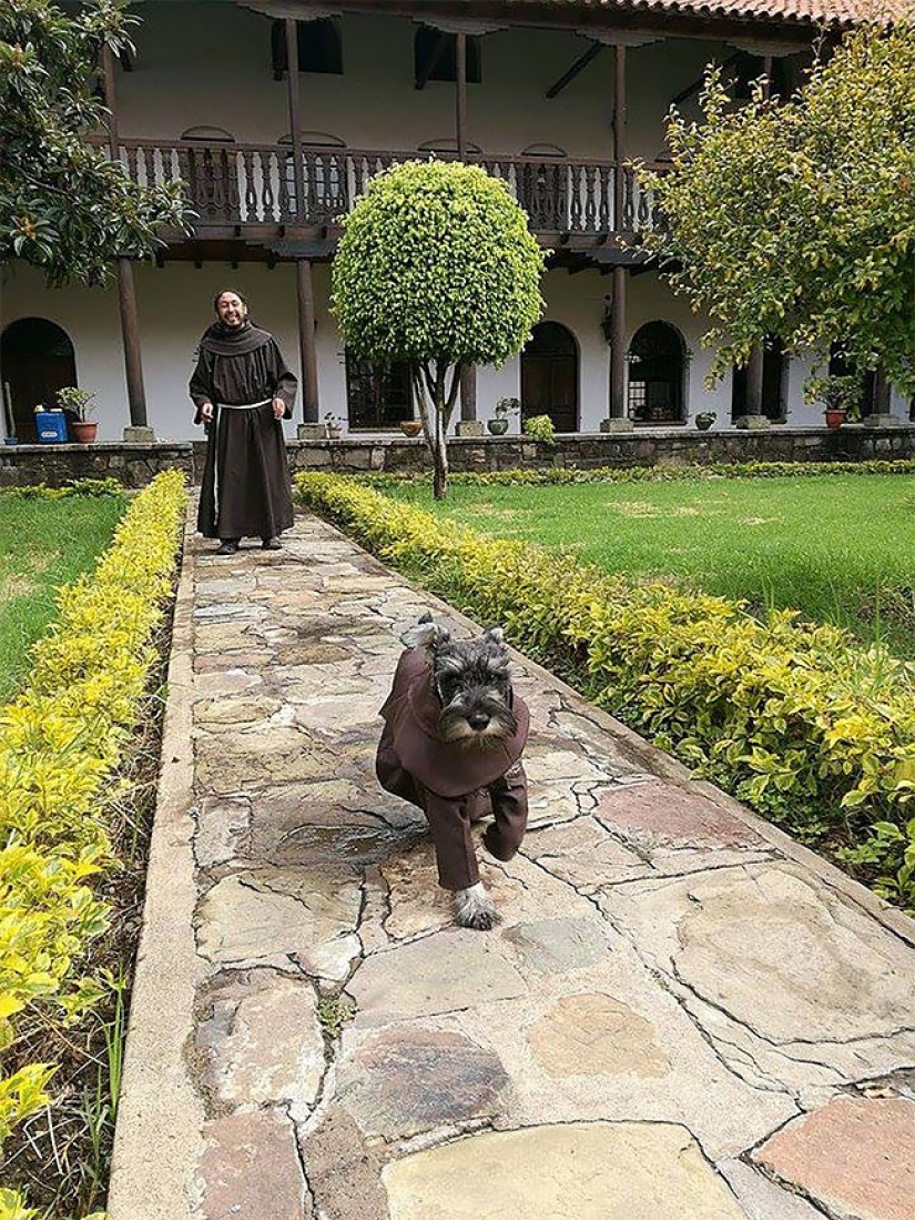 A stray dog became a real Catholic monk