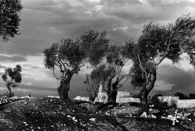 A talented reporter who was incredibly lucky A talented reporter who was incredibly lucky