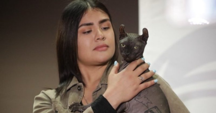 A tattooed cat has been released from a Mexican prison A tattooed cat has been released from a Mexican prison