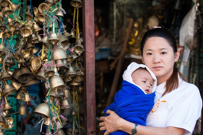 A touching story about a girl who saves stray dogs A touching story about a girl who saves stray dogs