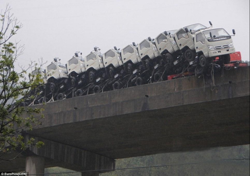 A un pelo de la muerte A un pelo de la muerte