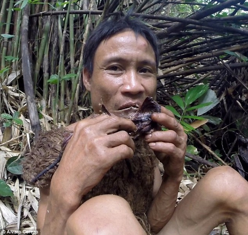 A Vietnamese man for 41 years was fleeing from the war in the jungle A Vietnamese man for 41 years was fleeing from the war in the jungle
