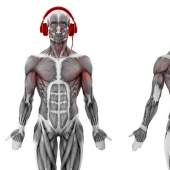 A witch doctor in your ears