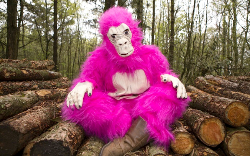 A woman wore fancy dress every day for a whole year.