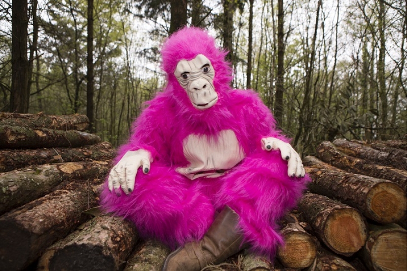 A woman wore fancy dress every day for a whole year.