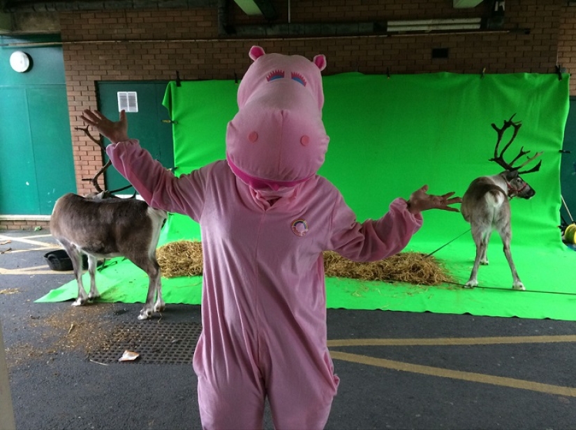 A woman wore fancy dress every day for a whole year.