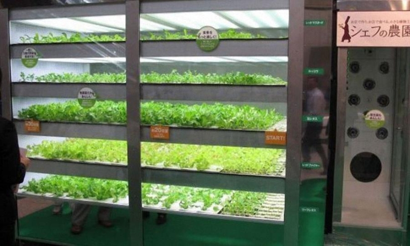 A world without sellers