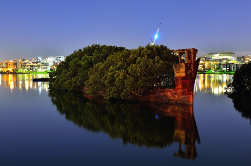 Abandoned ship SS Ayrfield - floating mangrove forest Abandoned ship SS Ayrfield - floating mangrove forest