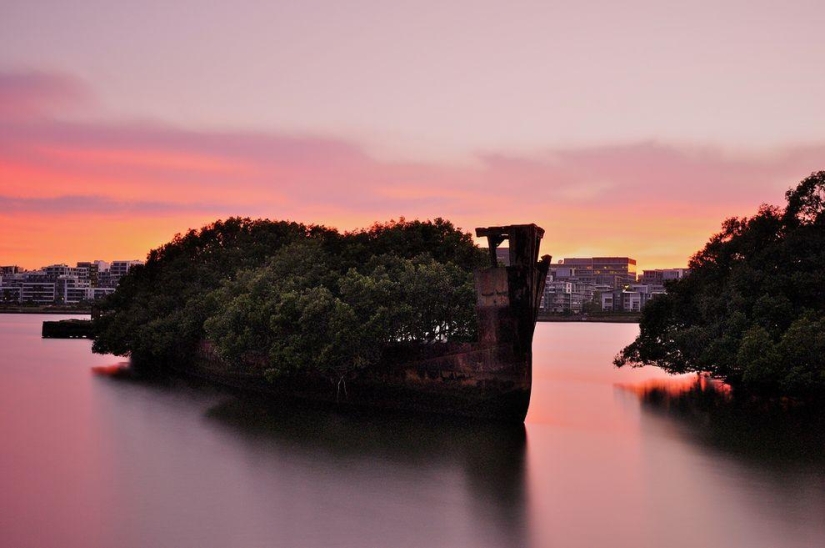 Abandoned ship SS Ayrfield - floating mangrove forest Abandoned ship SS Ayrfield - floating mangrove forest