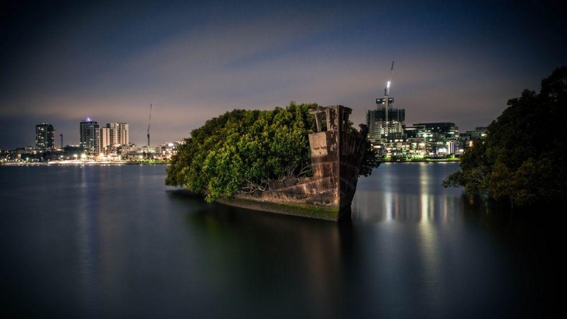 Abandoned ship SS Ayrfield - floating mangrove forest Abandoned ship SS Ayrfield - floating mangrove forest
