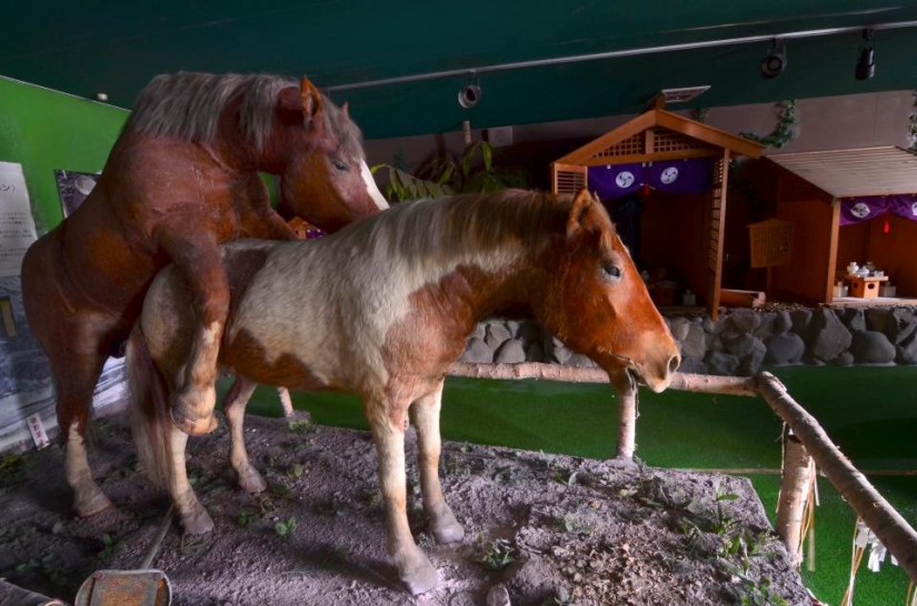 Abandono picante: por qué los museos de sexo en Japón ya no son interesantes para el público