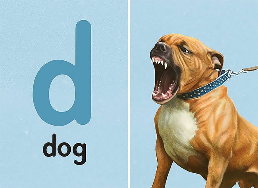 ABC book for adults: what they don't teach at school