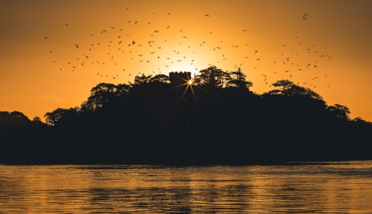 Abrazando el amanecer: 5 razones por las que la fotografía del amanecer eclipsa a la fotografía del atardecer