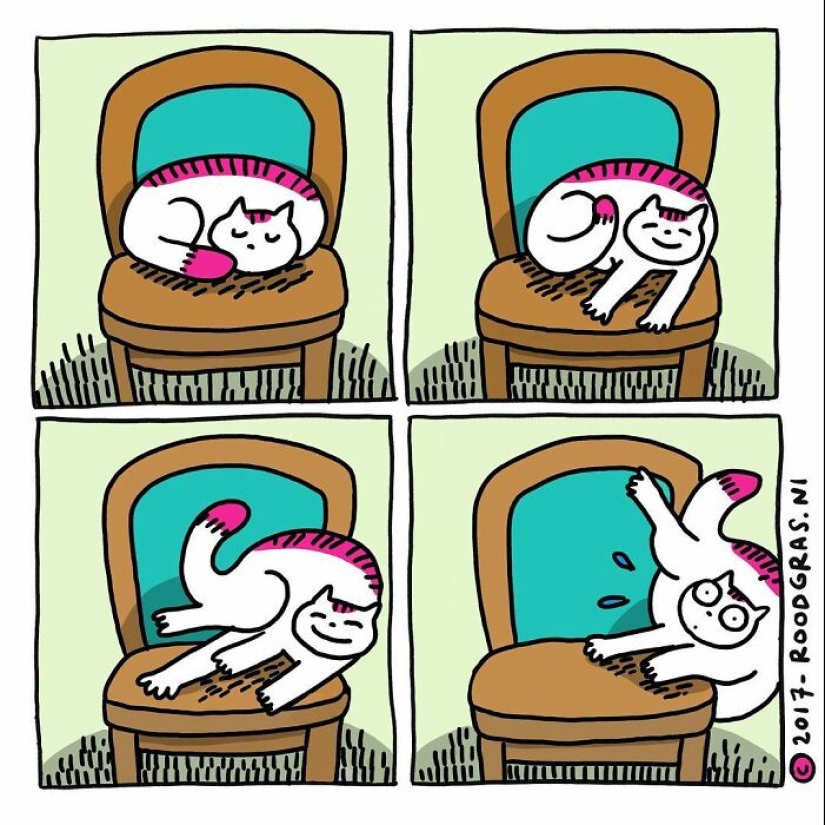 Adorable Wordless Cat Comics By This Dutch Artist