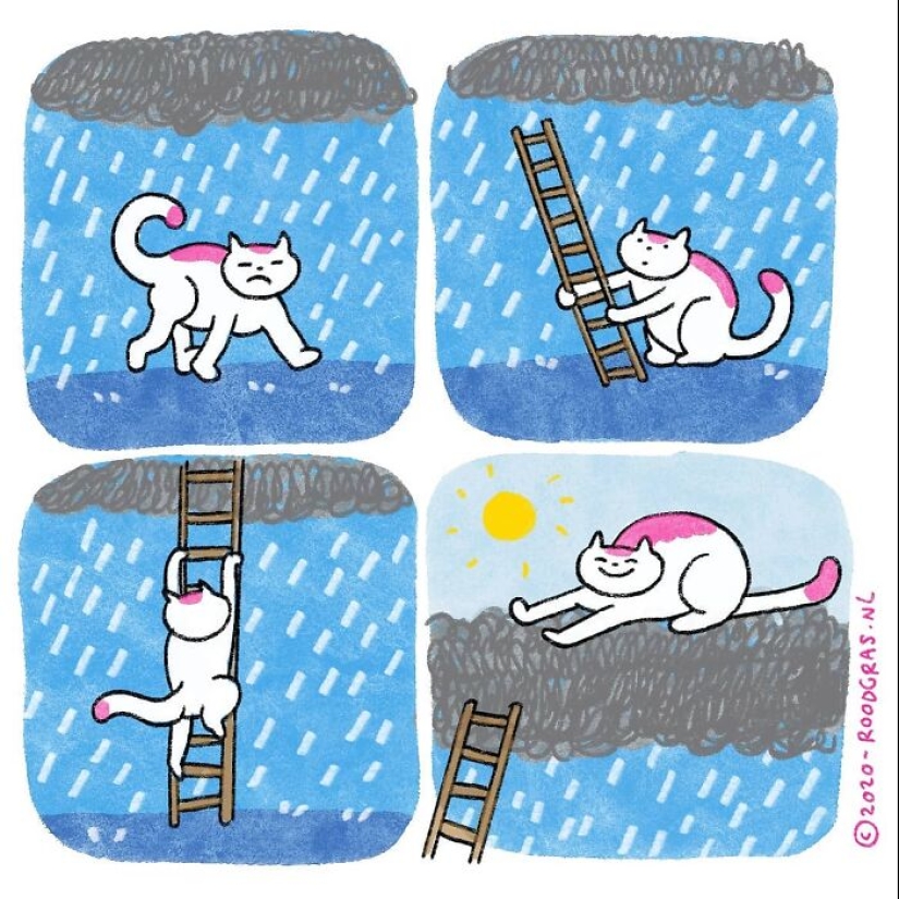 Adorable Wordless Cat Comics By This Dutch Artist