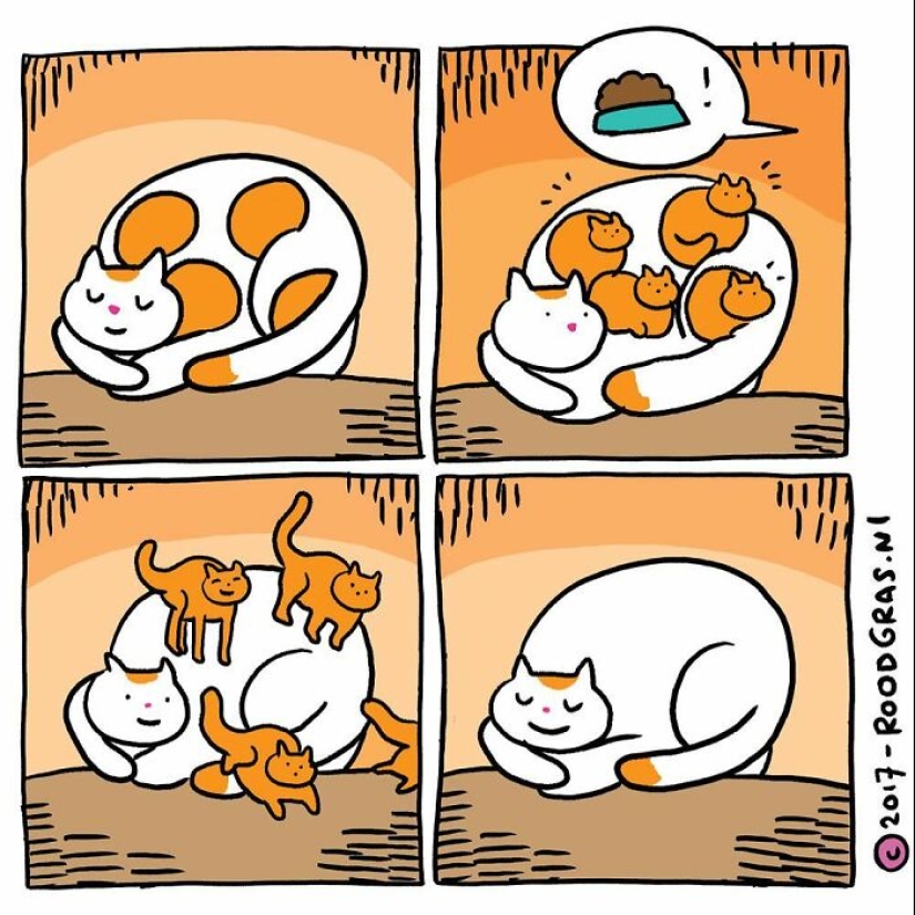 Adorables cómics sin palabras del gato de esta artista holandesa