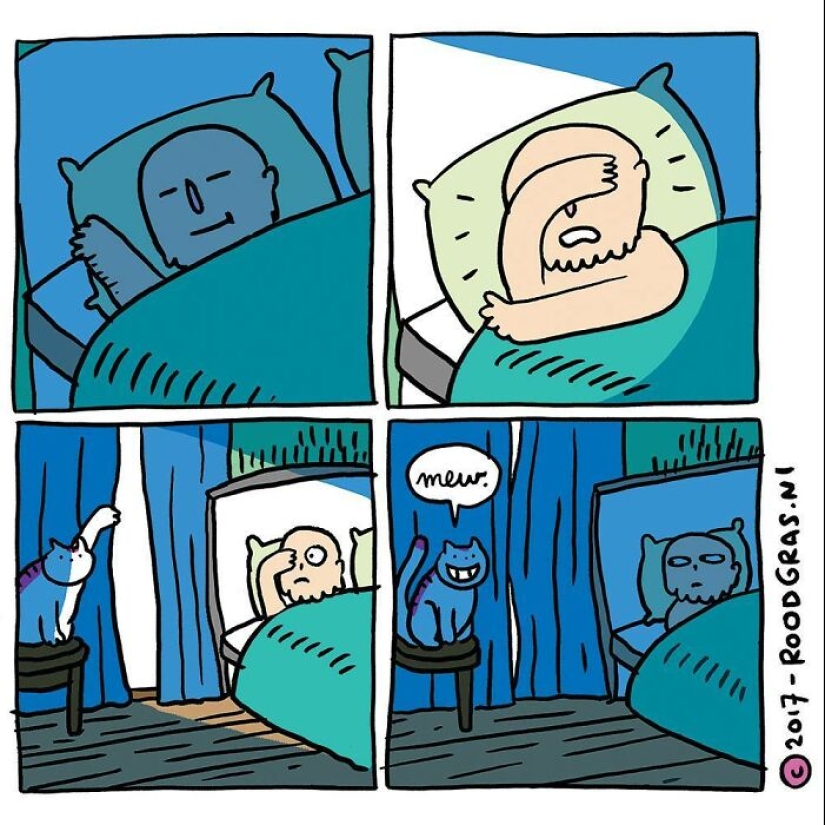 Adorables cómics sin palabras del gato de esta artista holandesa