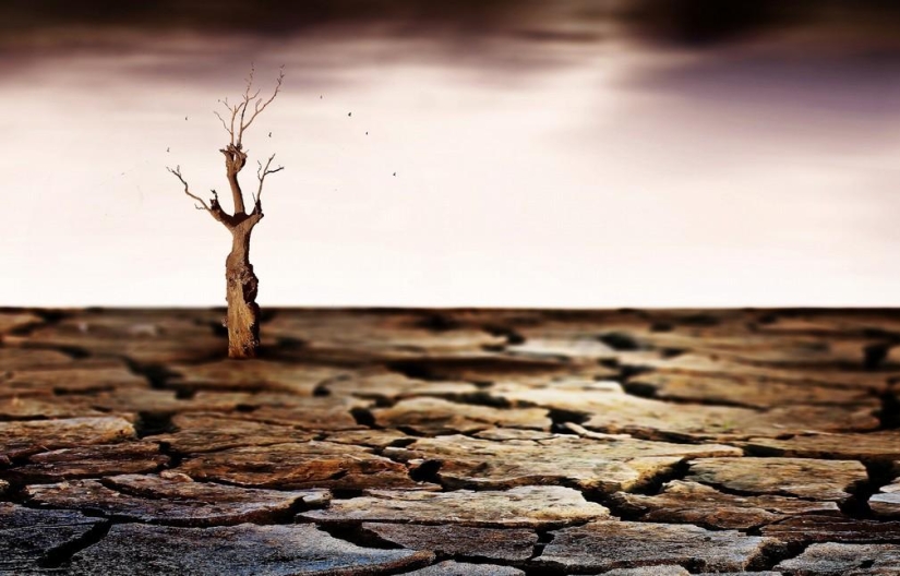 Adrienne Balasco: between heaven and earth Adrienne Balasco: between heaven and earth