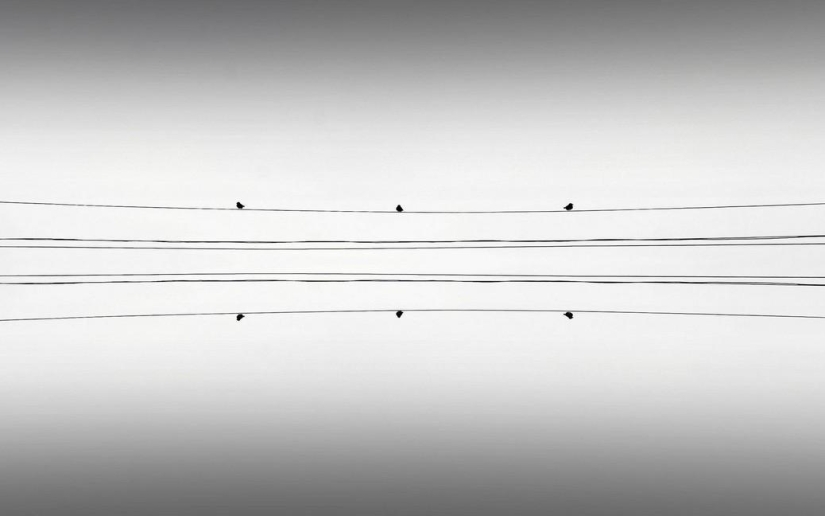 Adrienne Balasco: between heaven and earth Adrienne Balasco: between heaven and earth