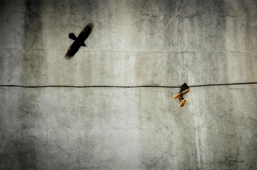 Adrienne Balasco: between heaven and earth Adrienne Balasco: between heaven and earth