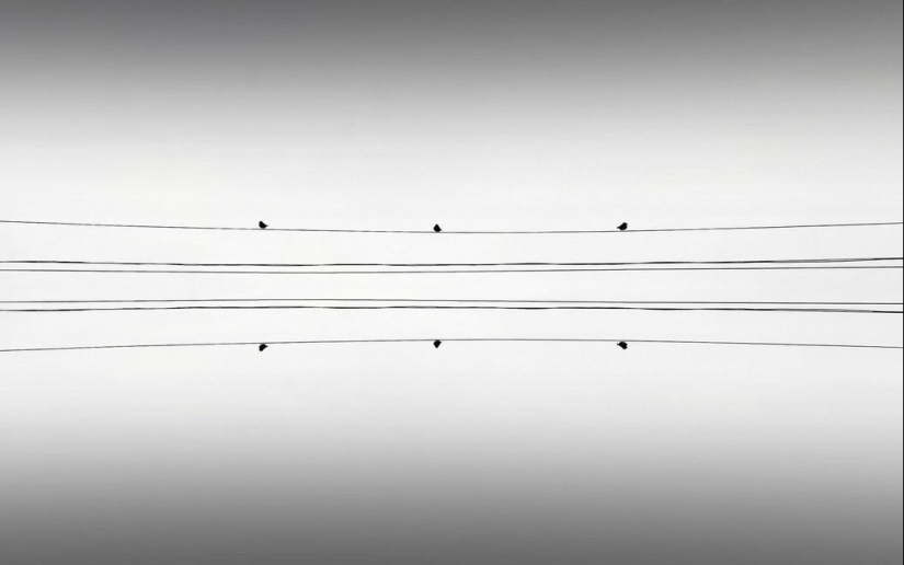 Adrienne Balasco: entre el cielo y la tierra