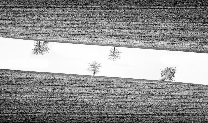 Adrienne Balasco: entre el cielo y la tierra