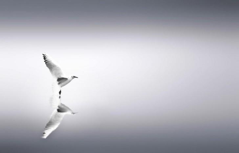 Adrienne Balasco: entre el cielo y la tierra