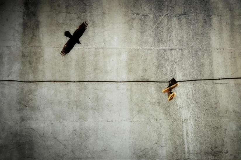 Adrienne Balasco: entre el cielo y la tierra