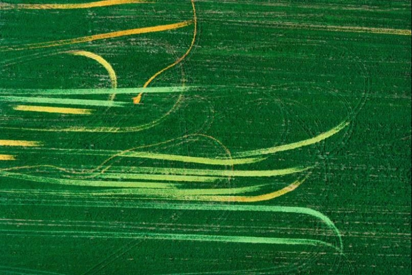 Aerial Perspectives by Alex McLean Aerial Perspectives by Alex McLean