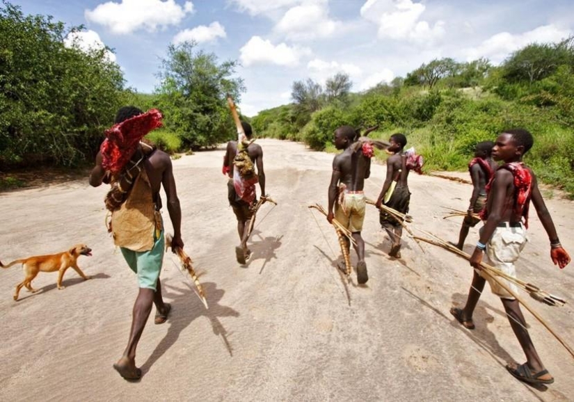 Africa from Sunrise to Sunset: One Day Trip