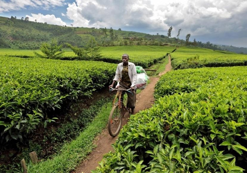 Africa from Sunrise to Sunset: One Day Trip