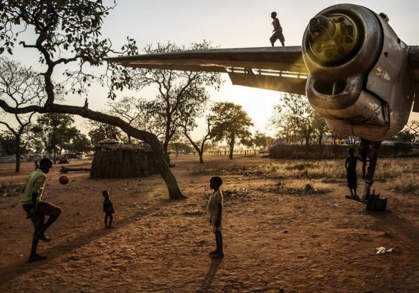 Africa from Sunrise to Sunset: One Day Trip