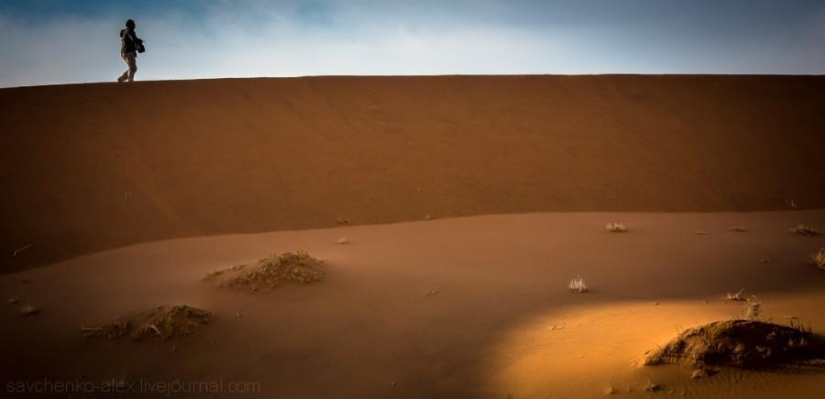 Africa. Namibia. Namib Desert - Sossusvlei