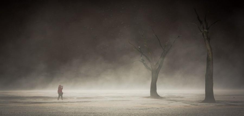 Africa. Namibia. Namib Desert - Sossusvlei