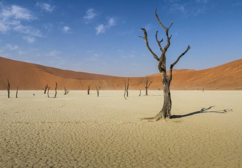 Africa. Namibia. Namib Desert - Sossusvlei