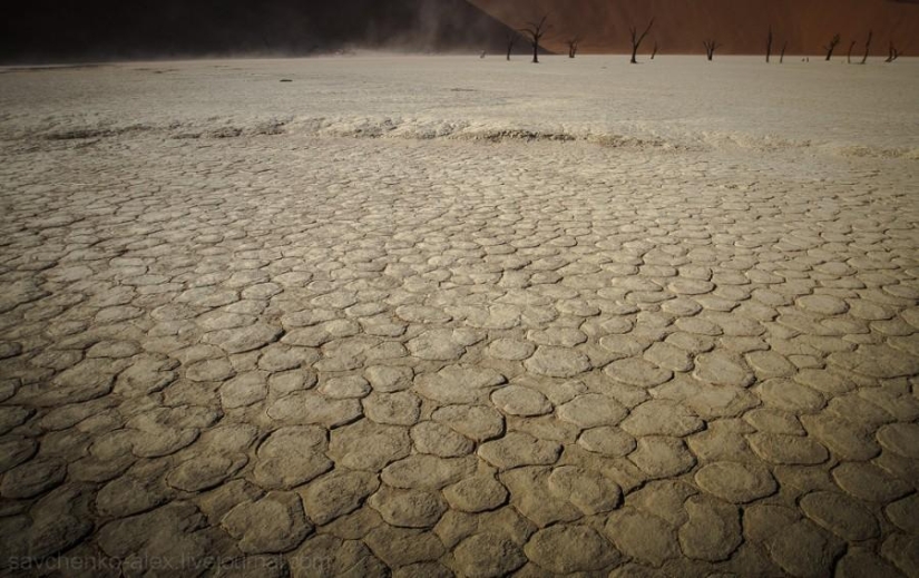 Africa. Namibia. Namib Desert - Sossusvlei