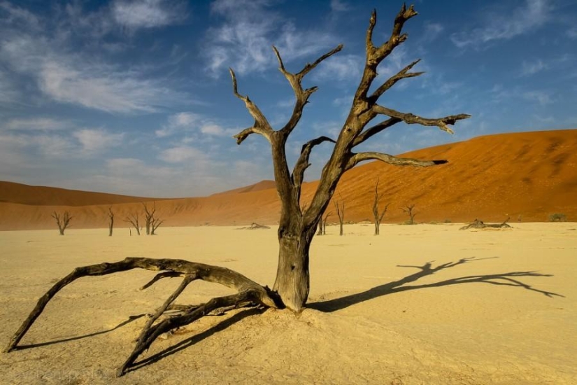 Africa. Namibia. Namib Desert - Sossusvlei