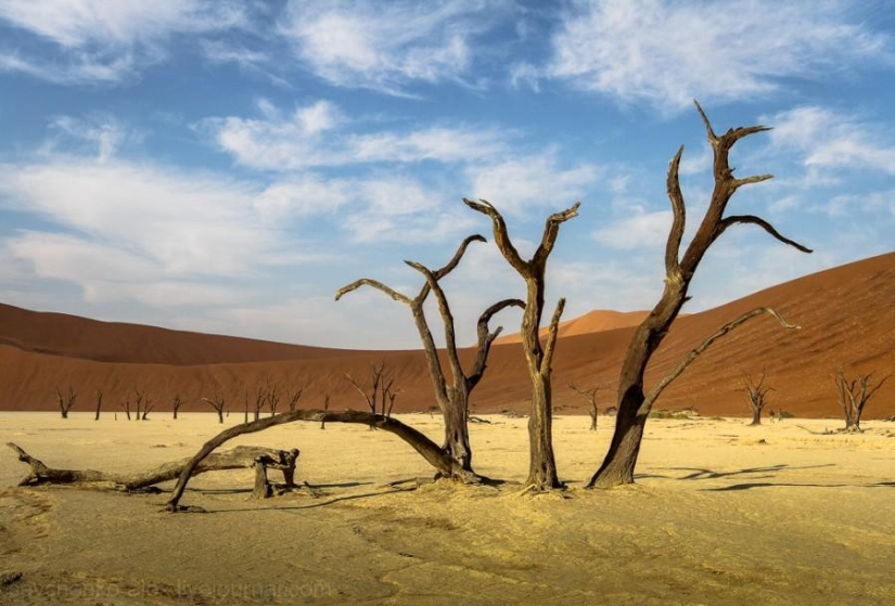 Africa. Namibia. Namib Desert - Sossusvlei