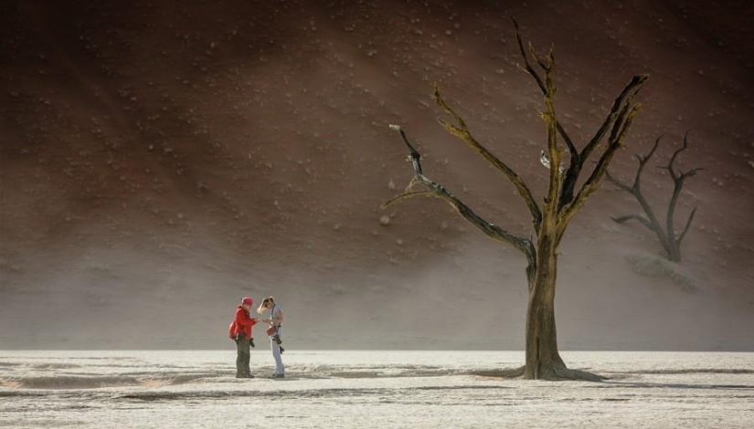 Africa. Namibia. Namib Desert - Sossusvlei