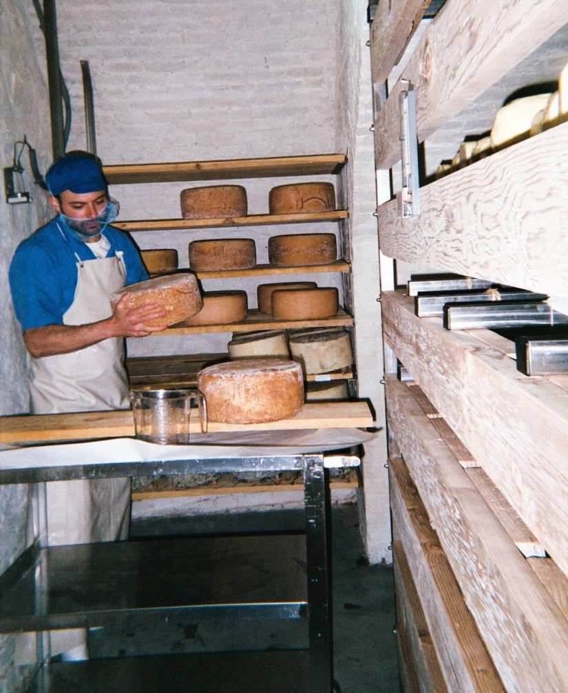 Agujero de queso: Un día en la vida de un quesero de Brooklyn