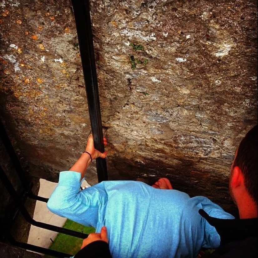 All tourists do it All tourists do it