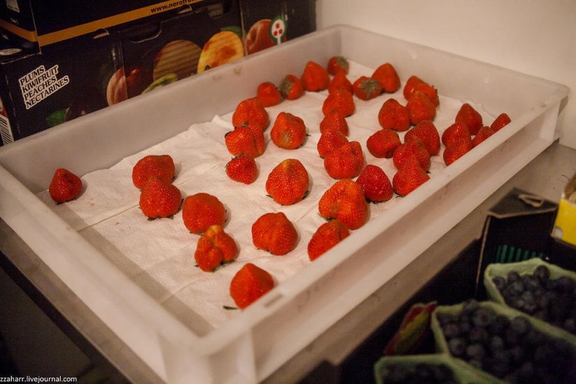 Alta cocina: catering en el aeropuerto de Koltsovo