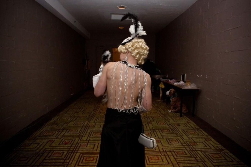 Alta moda para perros