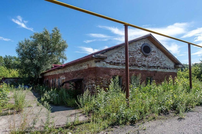 Altai. Barnaúl Altai. Barnaúl